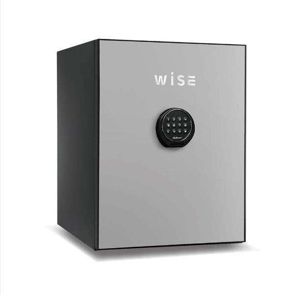 【設置込】 ディプロマット WISEプレミアムセーフ テンキー式耐火金庫 （60分耐火） 36L ライトグレイ WS500ALLG 1台（直送品）