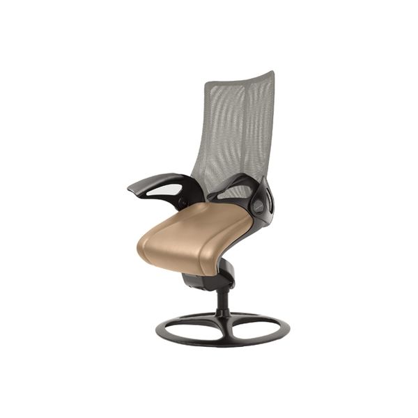 オカムラ レオパード