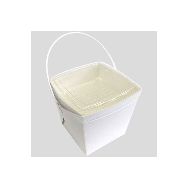 協和パック 取っ手付き 紙製弁当容器 デリメイト TK125 白 00189736 1包：240枚（20×12）（直送品）