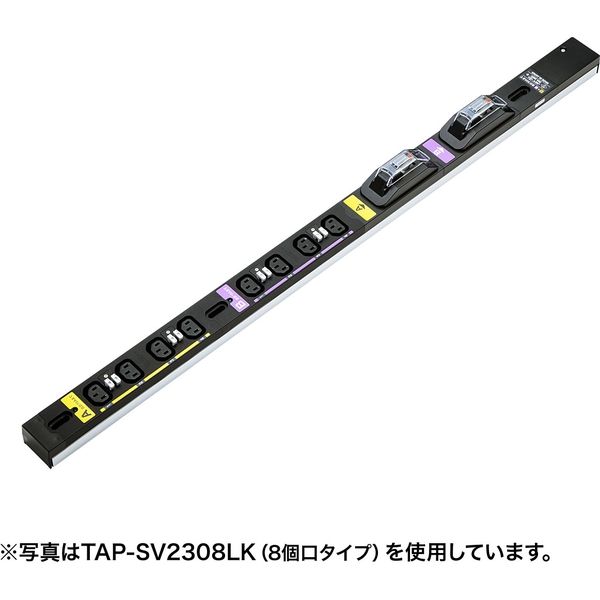 サンワサプライ 19インチサーバーラック用コンセント 200V（30A） 抜け防止ロック機能付き TAP-SV23024LK 1個（直送品）