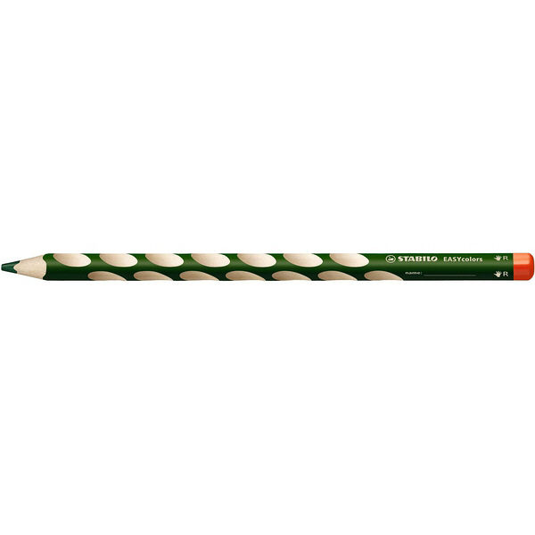 スタビロ 持ち方学習色鉛筆（右利き用）［EasyColors］グリーン 332-520 1セット（12本入）（直送品）