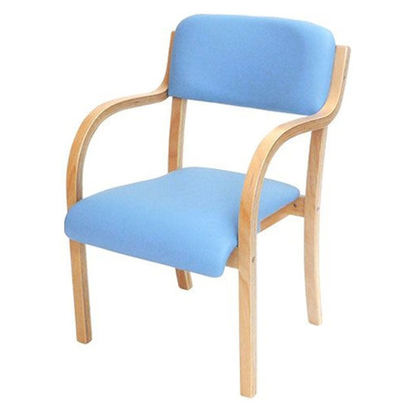 ネットフォース ダイニングチェア 介護用椅子 シエル 組立品 ブルー 介護施設 福祉用 ETV-3-S2-AW 1セット（2脚入）（直送品）
