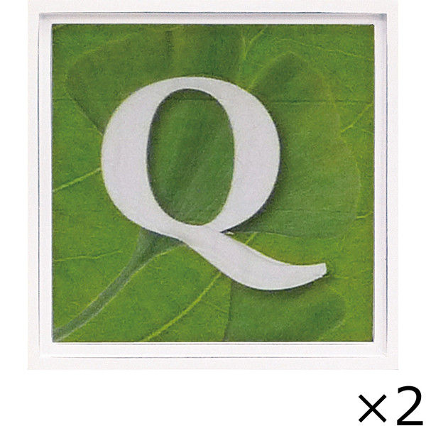ユーパワー アルファベット アートフレーム グリーン Q AL-01202-Q 1セット（2枚）（直送品）