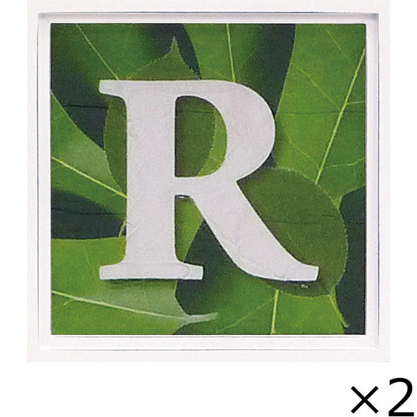 ユーパワー アルファベット アートフレーム グリーン R AL-01202-R 1セット（2枚）（直送品）