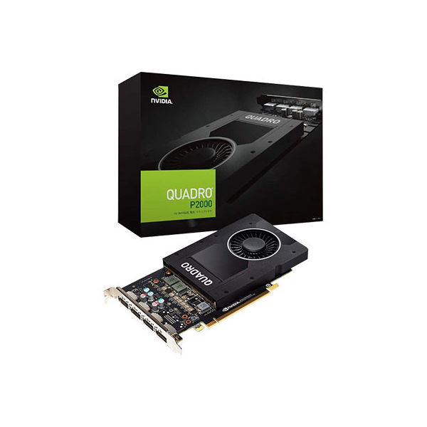 ELSA NVIDIA Quadro P2000 EQP2000-5GER（直送品）