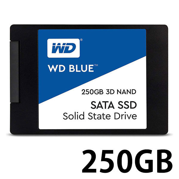 WESTERN DIGITAL WDS250G2B0A（直送品）