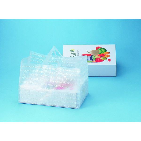 ヤマニパッケージ モストワールドバッグ1 L-1001 1ケース（100枚：10枚袋入×10）（直送品）