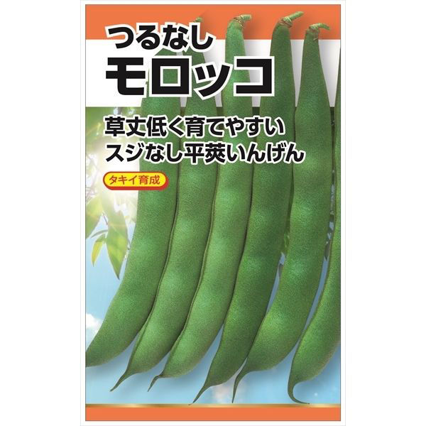 ニチノウのタネ モロッコ（つるなし・平莢） 日本農産種苗 4960599113603 1セット（5袋入）（直送品）