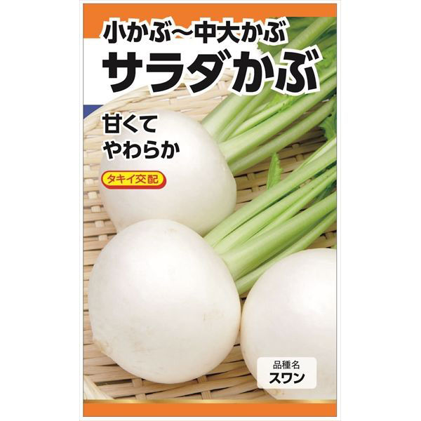 ニチノウのタネ　タキイ交配　サラダかぶ（スワン蕪）　4960599186300　日本農産種苗　1セット（5袋入）（直送品）