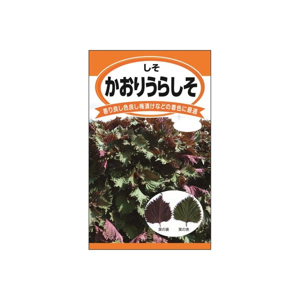ニチノウのタネ かおりうらしそ 日本農産種苗 4960599140500 1セット（5袋入）（直送品）
