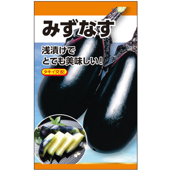 ニチノウのタネ タキイ交配 みず茄（ナス） 日本農産種苗 4960599145208 1セット（3袋入）（直送品）