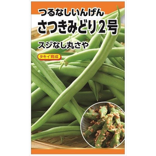 ニチノウのタネ さつきみどり2号（つるなし・丸莢） 日本農産種苗 4960599147707 1セット（5袋入）（直送品）