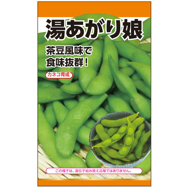 ニチノウのタネ 湯あがり娘（えだまめ） 日本農産種苗 1セット（5袋入）（直送品）