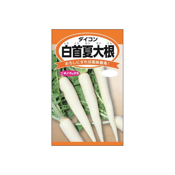 ニチノウのタネ 白首夏大根 日本農産種苗 4960599149701 1セット（5袋入）（直送品）