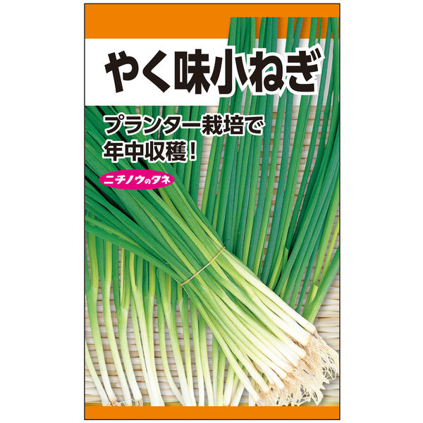ニチノウのタネ やく味小ねぎ 日本農産種苗 4960599149909 1セット（5袋入）（直送品）