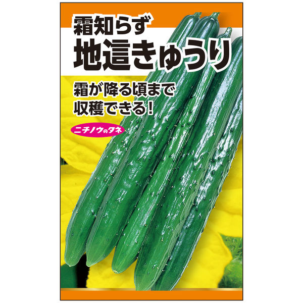 ニチノウのタネ 地這胡瓜 日本農産種苗 4960599151308 1セット（5袋入）（直送品）