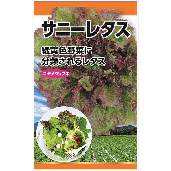 ニチノウのタネ サニーレタス 日本農産種苗 4960599151704 1セット（5袋入）（直送品）