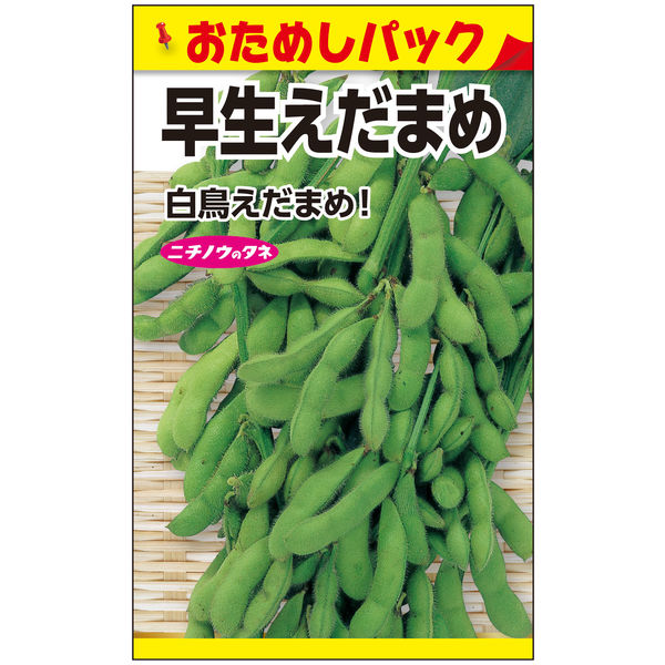 ニチノウのタネ　日本農産種苗 白鳥枝豆（おためしパック） 4960599186904 1セット（5袋入）（直送品）