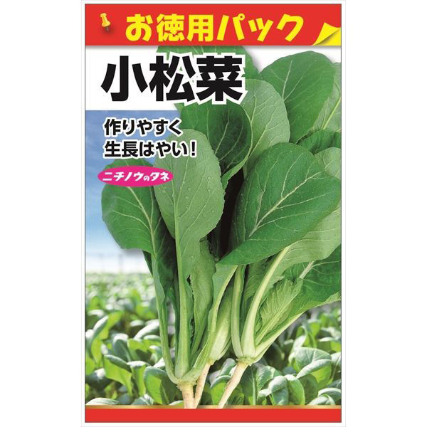 ニチノウのタネ 小松菜（お徳用パック） 日本農産種苗 4960599171702 1セット（5袋入）（直送品）