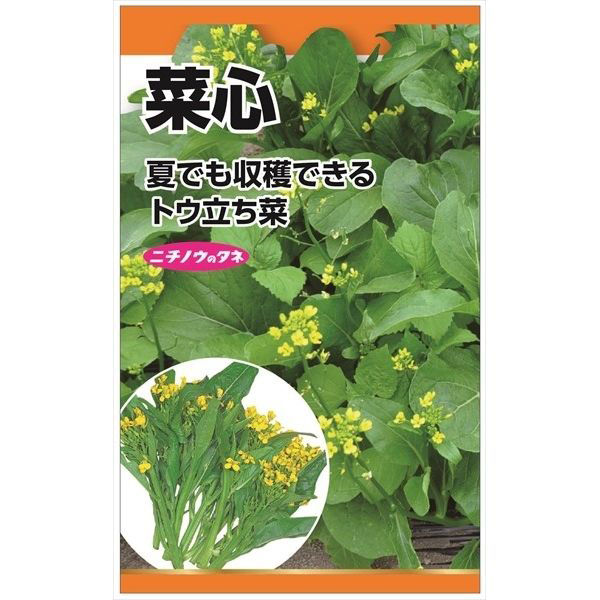 ニチノウのタネ 菜心 日本農産種苗 4960599174000 1セット（5袋入）（直送品）