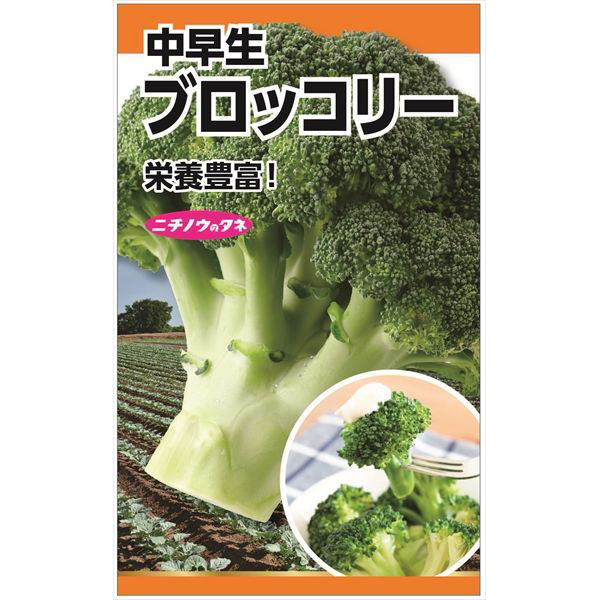 ニチノウのタネ ブロッコリー（中早生） 日本農産種苗 4960599176806 1セット（5袋入）（直送品）