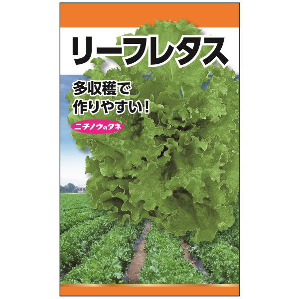 ニチノウのタネ リーフレタス 日本農産種苗 4960599179203 1セット（5袋入）（直送品）