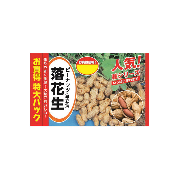 ニチノウのタネ 落花生（お買得特大パック） 日本農産種苗 4960599180704 1セット（3袋入）（直送品）