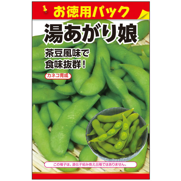 ニチノウのタネ  湯上がり娘（お徳用パック） 日本農産種苗  1セット（3袋入）（直送品）