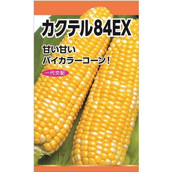 ニチノウのタネ　日本農産種苗 カクテル８４ＥＸ 4960599186607 1セット（3袋入）（直送品）