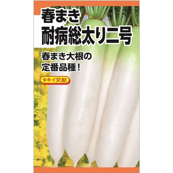 ニチノウのタネ タキイ交配 春まき耐病総太り二号 日本農産種苗 4960599181800 1セット（3袋入）（直送品）