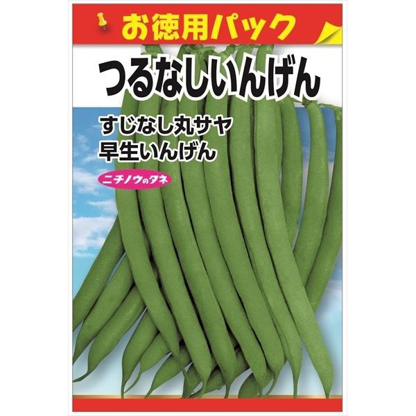 ニチノウのタネ つるなしいんげん（お徳用パック） 日本農産種苗 4960599182708 1セット（5袋入）（直送品）