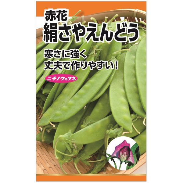 ニチノウのタネ 赤花絹莢えんどう（つるあり） 日本農産種苗