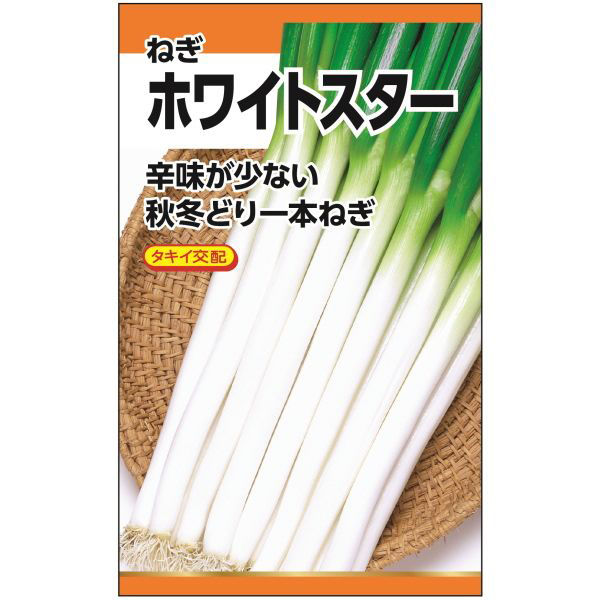 ニチノウのタネ タキイ交配 ホワイトスター（一本ねぎ） 日本農産種苗 4960599262509 1セット（5袋入）（直送品）