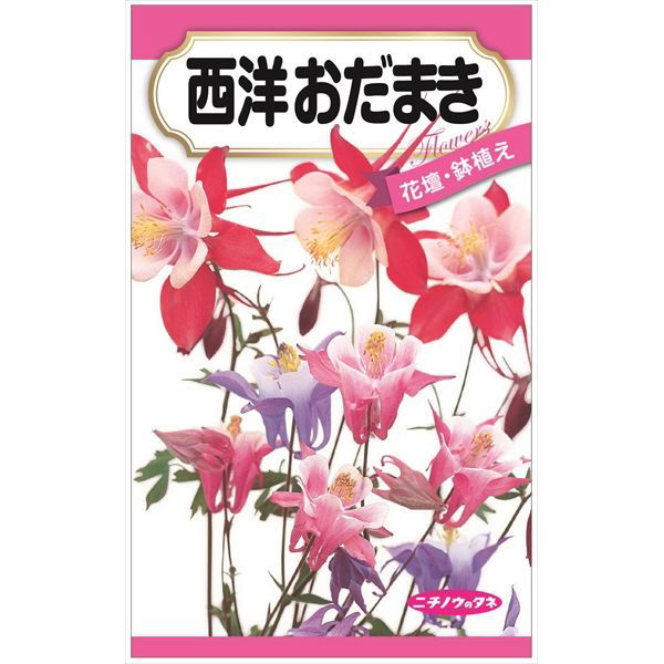 ニチノウのタネ 西洋おだまき 日本農産種苗 4960599310682 1セット（5袋入）（直送品）