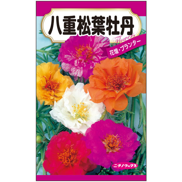 ニチノウのタネ 八重松葉牡丹 日本農産種苗 4960599400581 1セット（5袋入）（直送品）