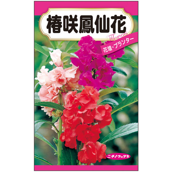 ニチノウのタネ 椿咲鳳仙花 日本農産種苗 4960599400680 1セット（5袋入）（直送品）