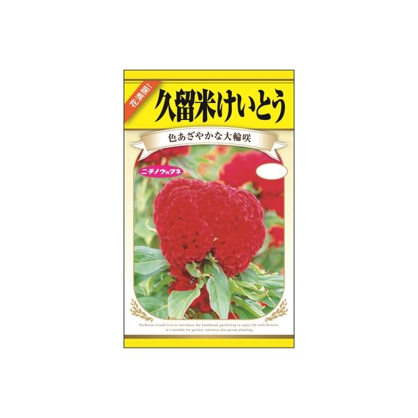 ニチノウのタネ 久留米けいとう 日本農産種苗 4960599402080 1セット（5袋入）（直送品）