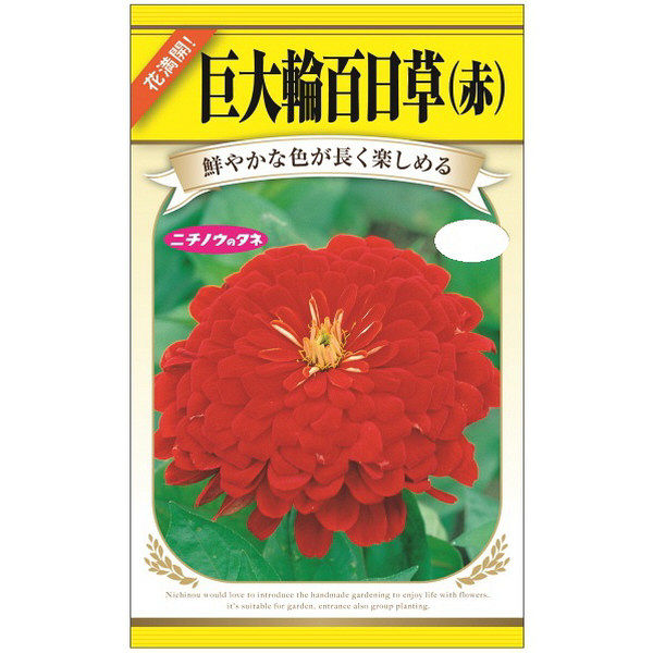 ニチノウのタネ 巨大輪百日草（赤） 日本農産種苗 4960599402189 1セット（5袋入）（直送品）