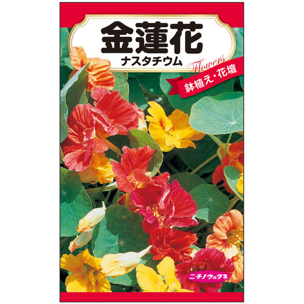 ニチノウのタネ 金蓮花 日本農産種苗 4960599404183 1セット（5袋入）（直送品）