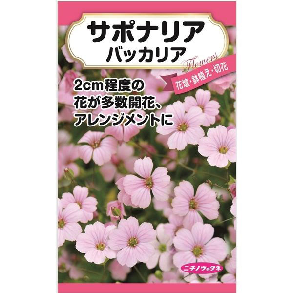 ニチノウのタネ サポナリア 日本農産種苗 4960599410689 1セット（5袋入）（直送品）