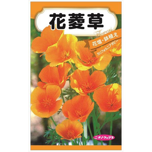 ニチノウのタネ 花菱草 日本農産種苗 4960599410887 1セット（5袋入）（直送品）
