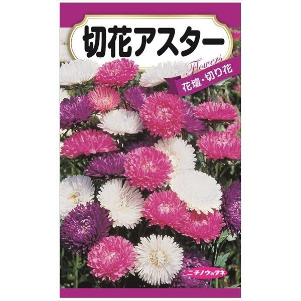 ニチノウのタネ 切花アスター 日本農産種苗 4960599411082 1セット（5袋入）（直送品）