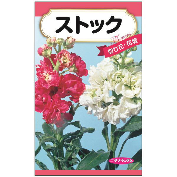 ニチノウのタネ　ストック　4960599323088　日本農産種苗　1セット（5袋入）（直送品）