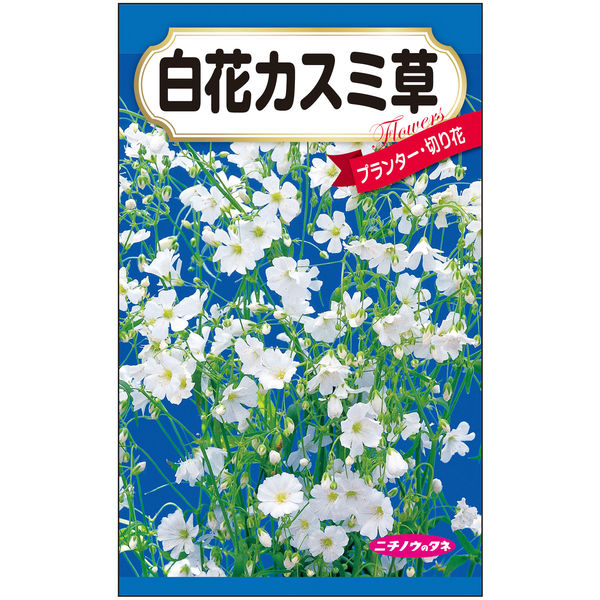 ニチノウのタネ 白花カスミ草 日本農産種苗 4960599414588 1セット（5袋入）（直送品）