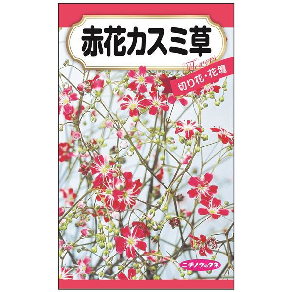 ニチノウのタネ 赤花カスミ草 日本農産種苗 4960599415080 1セット（5袋入）（直送品）
