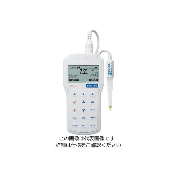 ハンナ インスツルメンツ・ジャパン pH・温度計(半固形食品・乳製品用) HI98161 1セット 3-829-01（直送品） 90,812円