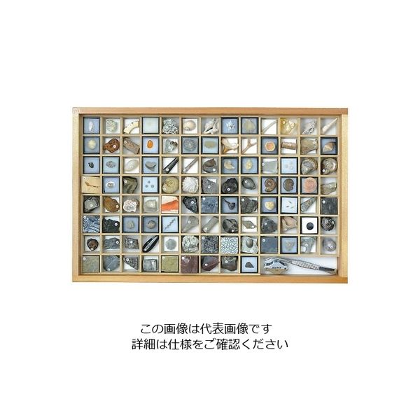 東京サイエンス 化石標本(化石標本100種) 3-654-06 1セット（直送品 