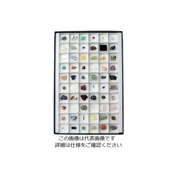 東京サイエンス 鉱物標本(鉱物標本60種) 3-655-06 1セット（直送品）