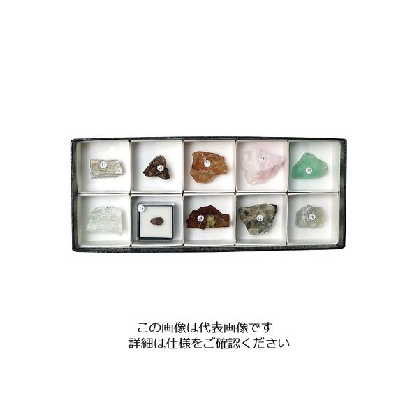 東京サイエンス 鉱物標本（蛍光鉱物標本10種） 1セット 3-655-08