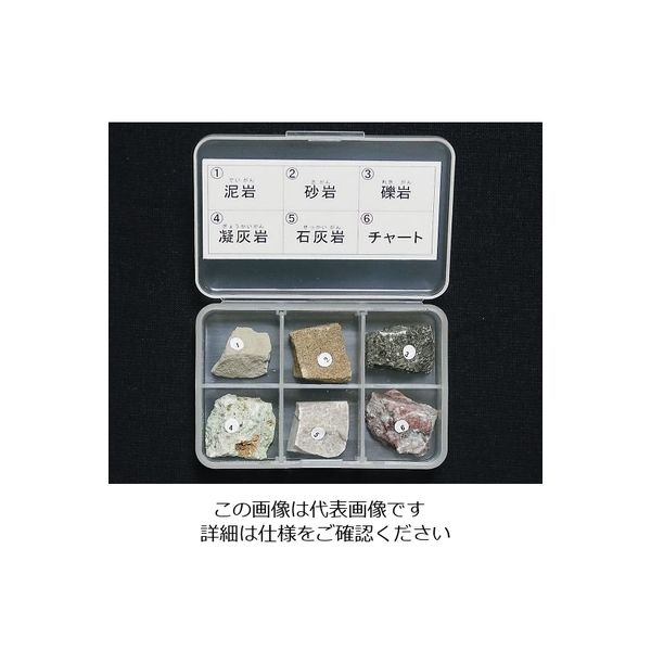 東京サイエンス 岩石標本（岩石標本堆積岩6種） 1セット 3-657-02（直送品）